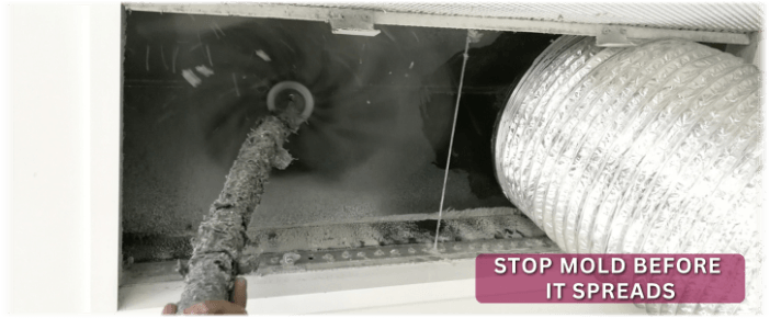 Air Duct Mold Removal in Palmdale CA