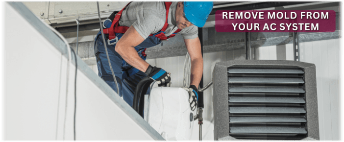 HVAC Mold Removal Palmdale CA
